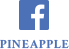 パイナップルfacebook